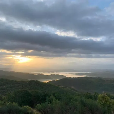Ina Maka - Con Giardino Immerso Nel *